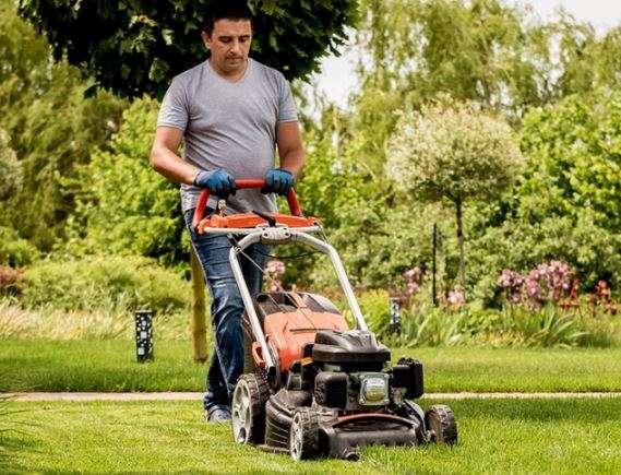 How To Use Montdys For Garden Maintenance